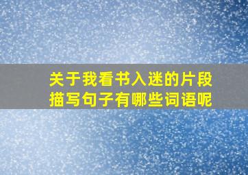 关于我看书入迷的片段描写句子有哪些词语呢