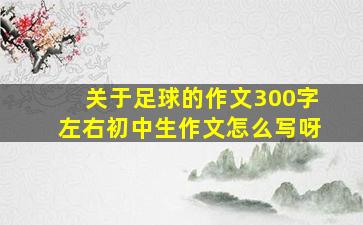 关于足球的作文300字左右初中生作文怎么写呀