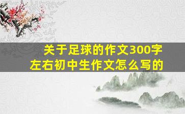 关于足球的作文300字左右初中生作文怎么写的