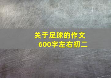 关于足球的作文600字左右初二