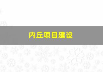 内丘项目建设