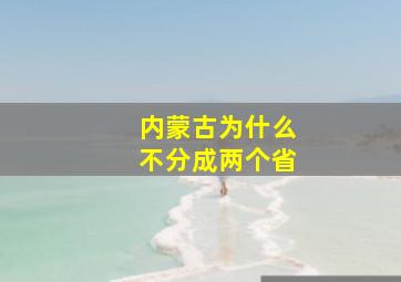 内蒙古为什么不分成两个省