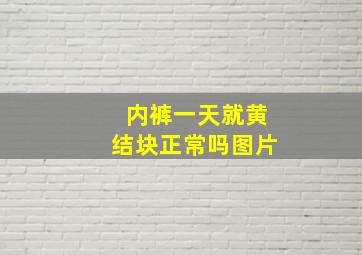 内裤一天就黄结块正常吗图片