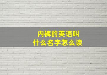 内裤的英语叫什么名字怎么读