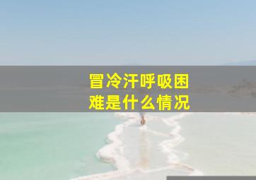 冒冷汗呼吸困难是什么情况