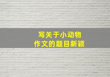 写关于小动物作文的题目新颖