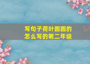 写句子荷叶圆圆的怎么写的呢二年级