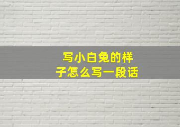 写小白兔的样子怎么写一段话