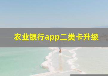 农业银行app二类卡升级