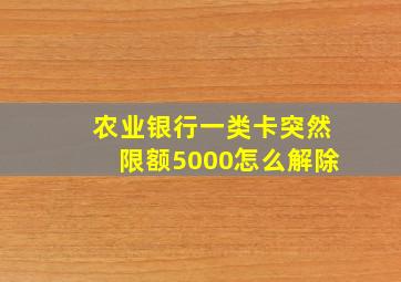 农业银行一类卡突然限额5000怎么解除