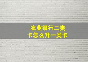 农业银行二类卡怎么升一类卡