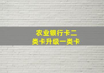 农业银行卡二类卡升级一类卡