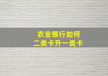 农业银行如何二类卡升一类卡