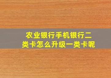 农业银行手机银行二类卡怎么升级一类卡呢