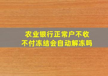 农业银行正常户不收不付冻结会自动解冻吗