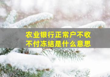 农业银行正常户不收不付冻结是什么意思