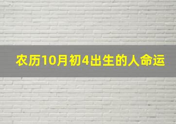 农历10月初4出生的人命运