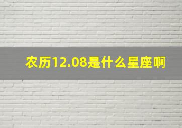 农历12.08是什么星座啊