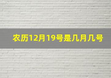 农历12月19号是几月几号