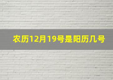 农历12月19号是阳历几号