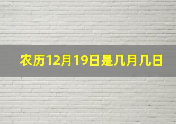 农历12月19日是几月几日