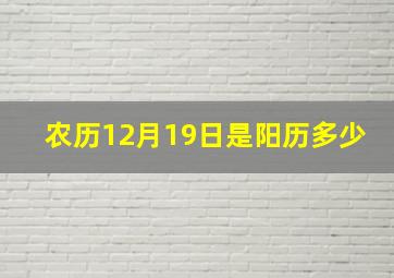 农历12月19日是阳历多少