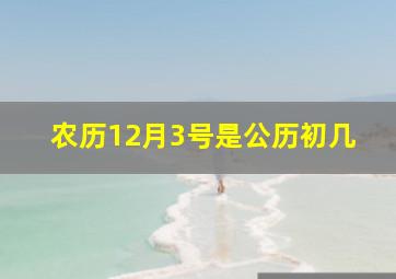 农历12月3号是公历初几