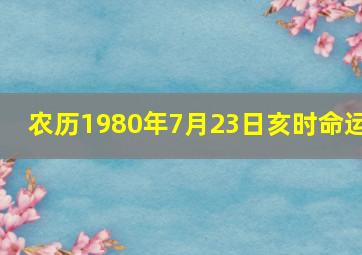 农历1980年7月23日亥时命运