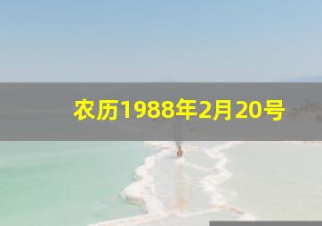 农历1988年2月20号