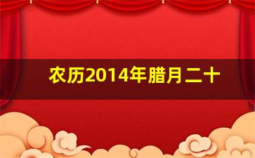 农历2014年腊月二十