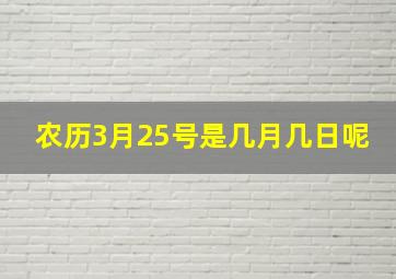 农历3月25号是几月几日呢