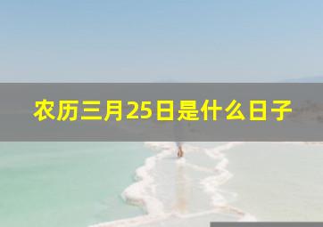 农历三月25日是什么日子