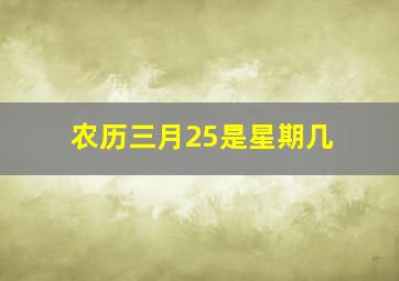 农历三月25是星期几