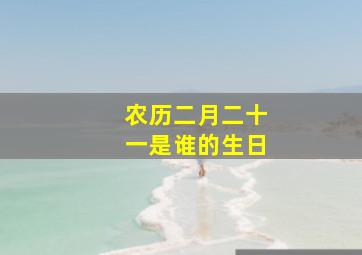 农历二月二十一是谁的生日