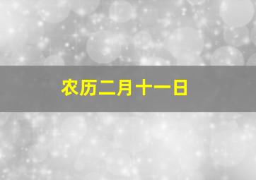 农历二月十一日