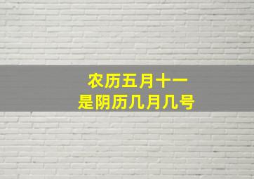 农历五月十一是阴历几月几号