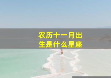 农历十一月出生是什么星座