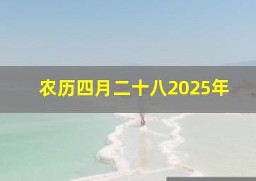 农历四月二十八2025年