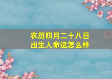 农历四月二十八日出生人命运怎么样