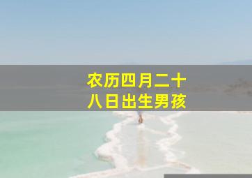 农历四月二十八日出生男孩