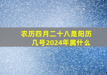 农历四月二十八是阳历几号2024年属什么