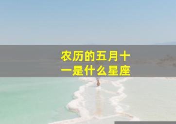 农历的五月十一是什么星座