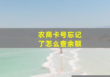 农商卡号忘记了怎么查余额