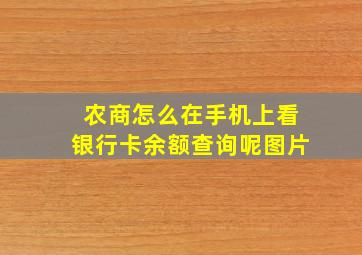 农商怎么在手机上看银行卡余额查询呢图片