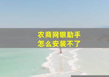 农商网银助手怎么安装不了