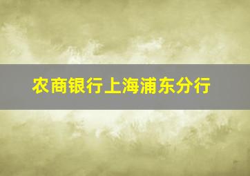 农商银行上海浦东分行