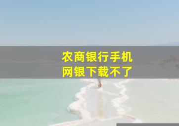 农商银行手机网银下载不了