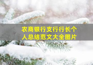 农商银行支行行长个人总结范文大全图片