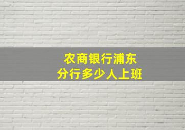 农商银行浦东分行多少人上班