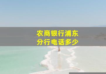 农商银行浦东分行电话多少